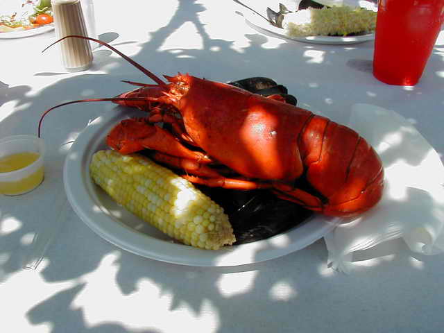 Lobster Bake