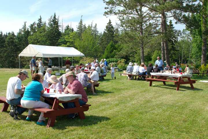 Lobster Bake