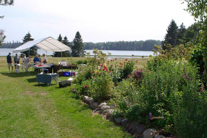 Lobster Bake