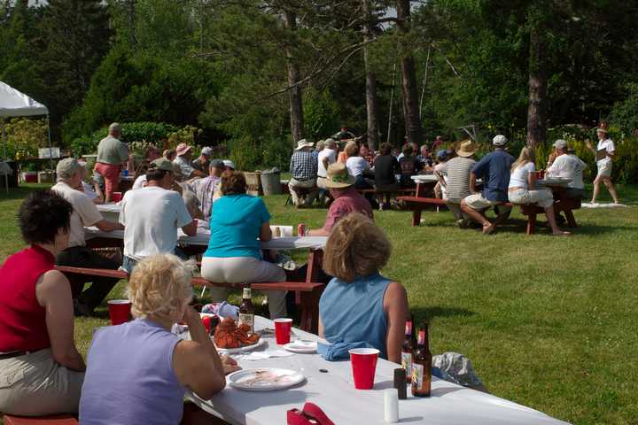 Lobster Bake